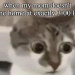 bombastic side eye cat | when my mom doesn't come home at exactly 3:00 PM | image tagged in bombastic side eye cat,scared cat,cat,is this a pigeon | made w/ Imgflip meme maker