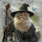 Gandalf cat