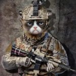 Tactical Cat