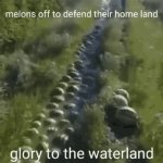 Watermelons off to defend their homeland glory to the waterland
