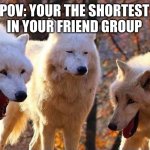 *sighs* why | POV: YOUR THE SHORTEST IN YOUR FRIEND GROUP | image tagged in laughing wolf,short people,i love my friends but,memes | made w/ Imgflip meme maker
