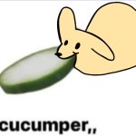 Gourmand cucumper,, meme