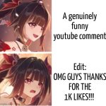 This is annoyingly stupid. | A genuinely funny youtube comment; Edit: OMG GUYS THANKS FOR THE 1K LIKES!!! | image tagged in memes,youtube,comment,edit,likes | made w/ Imgflip meme maker