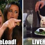 Liver Load? Or LiveReload... | Live ReLoad! LIVER LOAD | image tagged in smudge the cat,coding,javascript,software | made w/ Imgflip meme maker