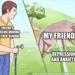 my friend is like that | MY FRIEND'S BEST FRIEND MOVING TO ANOTHER SCHOOL; MY FRIEND; DEPRESSION AND ANXIETY | image tagged in wikihow spraying the dog | made w/ Imgflip meme maker