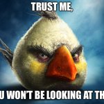 Realistic Angry Bird (Mathilda) | TRUST ME, YOU WON’T BE LOOKING AT THIS. | image tagged in realistic angry bird mathilda | made w/ Imgflip meme maker