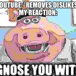 I DIAGNOSE YOU WITH GAY | YOUTUBE: *REMOVES DISLIKES*
MY REACTION: | image tagged in i diagnose you with gay,idk | made w/ Imgflip meme maker