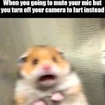 Scared Hamster | When you going to mute your mic but you turn off your camera to fart instead | image tagged in scared hamster,meme,memes,funny,dank memes | made w/ Imgflip meme maker