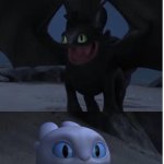 toothless and light fury meme >:) | Will you be my mate; What the heck are you doing | image tagged in toothless and lightfury meme | made w/ Imgflip meme maker