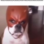 Dog with daredevil mask | HOW I FELL AFTER EATING THE WHOLE CHILD IN THE RESTAURANT | image tagged in dog with daredevil mask,memes,evil,dog,restaurant | made w/ Imgflip meme maker