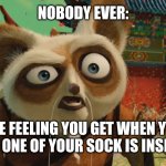 My sock is inside out | NOBODY EVER:; THE FEELING YOU GET WHEN YOU REALIZE ONE OF YOUR SOCK IS INSIDE OUT | image tagged in annoyed shifu,relatable,annoying | made w/ Imgflip meme maker