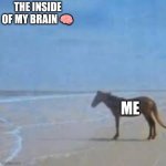 Horse Staring at sea | THE INSIDE OF MY BRAIN 🧠; ME | image tagged in horse staring at sea | made w/ Imgflip meme maker