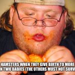 fat guy eating wings | HAMSTERS WHEN THEY GIVE BIRTH TO MORE THAN TWO BABIES (THE OTHERS MUST NOT SURVIVE) | image tagged in fat guy eating wings | made w/ Imgflip meme maker