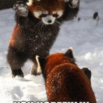 Attack Red Pandas | GOOD MEMES; YOU HOPEFULLY | image tagged in attack red pandas | made w/ Imgflip meme maker