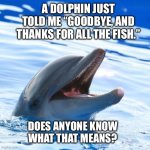 Then he asked if I had my towel. Weird? | A DOLPHIN JUST TOLD ME “GOODBYE, AND THANKS FOR ALL THE FISH.”; DOES ANYONE KNOW
WHAT THAT MEANS? | image tagged in dolphin,hitchhiker's guide to the galaxy,towel,marvin,fish | made w/ Imgflip meme maker