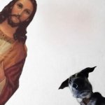JESUS AND A DOG SEE YOU