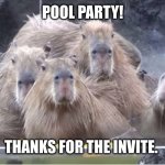 We're on the guest list, right? | POOL PARTY! THANKS FOR THE INVITE. | image tagged in capybaras,pool party,unexpected,memes,hot tub,fiesta | made w/ Imgflip meme maker