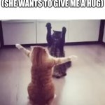 Big hugs cats | ME SEEING MY MOM AFTER A HARD DAY OF SCHOOL (SHE WANTS TO GIVE ME A HUG) | image tagged in big hugs cats | made w/ Imgflip meme maker