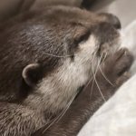 Hana Sleeping