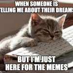 tired cat | WHEN SOMEONE IS TELLING ME ABOUT THEIR DREAMS; BUT I'M JUST HERE FOR THE MEMES | image tagged in tired cat | made w/ Imgflip meme maker