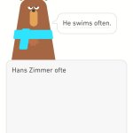 Norwegian Duolingo