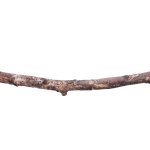 twig template