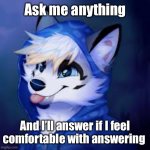 Question Time | Ask me anything; And I’ll answer if I feel comfortable with answering | image tagged in furry blep | made w/ Imgflip meme maker