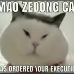 Mao Zedong Cat