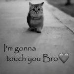 I'm gonna touch you bro