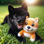 Black Shiba