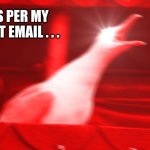 As per my last email . . . | AS PER MY LAST EMAIL . . . | image tagged in angry seagull,read your email,memes,office humor,ignorance,it's all there | made w/ Imgflip meme maker