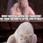 Bi-Polar Bear | WHAT HAPPENS WHEN YOU TRANSPORT ME FROM THE NORTH TO THE SOUTH POLE? I BECOME A BI-POLAR BEAR! | image tagged in bad joke polar bear,mental health,bad pun | made w/ Imgflip meme maker