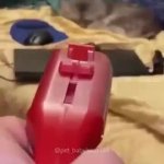 Oh crap, cat edition GIF Template