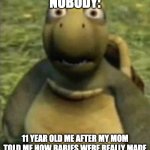 Turtle from over the hedge | NOBODY:; 11 YEAR OLD ME AFTER MY MOM TOLD ME HOW BABIES WERE REALLY MADE | image tagged in turtle from over the hedge | made w/ Imgflip meme maker