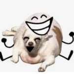 Plump Dog Happy