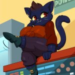 mae (night in the woods)