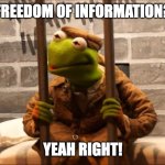 Kermit in jail | FREEDOM OF INFORMATION? YEAH RIGHT! | image tagged in kermit in jail,barry young,julian assange,whistleblower | made w/ Imgflip meme maker