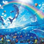 Happy dolphin rainbow