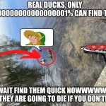 Duckies | REAL DUCKS, ONLY 0.000000000000000001% CAN FIND THEM! OH WAIT FIND THEM QUICK NOWWWWWWW!! THEY ARE GOING TO DIE IF YOU DON’T!!! | image tagged in duckies | made w/ Imgflip meme maker