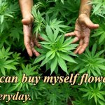 Miley smokes weed bet | "I can buy myself flowers."; Everyday. | image tagged in cannabis,bud,miley,flowers,buy them,everyday | made w/ Imgflip meme maker