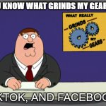 Peter Griffin News Meme | YOU KNOW WHAT GRINDS MY GEARS!? TIKTOK, AND FACEBOOK! | image tagged in memes,peter griffin news,tiktok,tiktok sucks,facebook | made w/ Imgflip meme maker