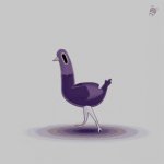 Chicken gif