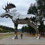 Giant silver moose norway