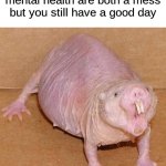 naked mole rat | when your physical and mental health are both a mess but you still have a good day | image tagged in naked mole rat,memes,funny,rats | made w/ Imgflip meme maker