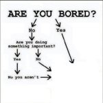 Are you bored flow chart