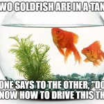 Daily Bad Dad Joke February 29, 2024 | TWO GOLDFISH ARE IN A TANK; ONE SAYS TO THE OTHER, "DO YOU KNOW HOW TO DRIVE THIS THING?" | image tagged in 2 gold fish | made w/ Imgflip meme maker