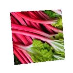 rhubarb cube GIF Template