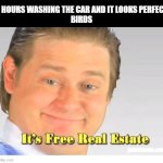 when birds do this | 3 HOURS WASHING THE CAR AND IT LOOKS PERFECT
BIRDS | image tagged in it's free real estate | made w/ Imgflip meme maker