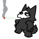 Puro smoking a blunt