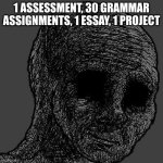 bro im in middle school | 1 ASSESSMENT, 30 GRAMMAR ASSIGNMENTS, 1 ESSAY, 1 PROJECT | image tagged in cursed wojak | made w/ Imgflip meme maker